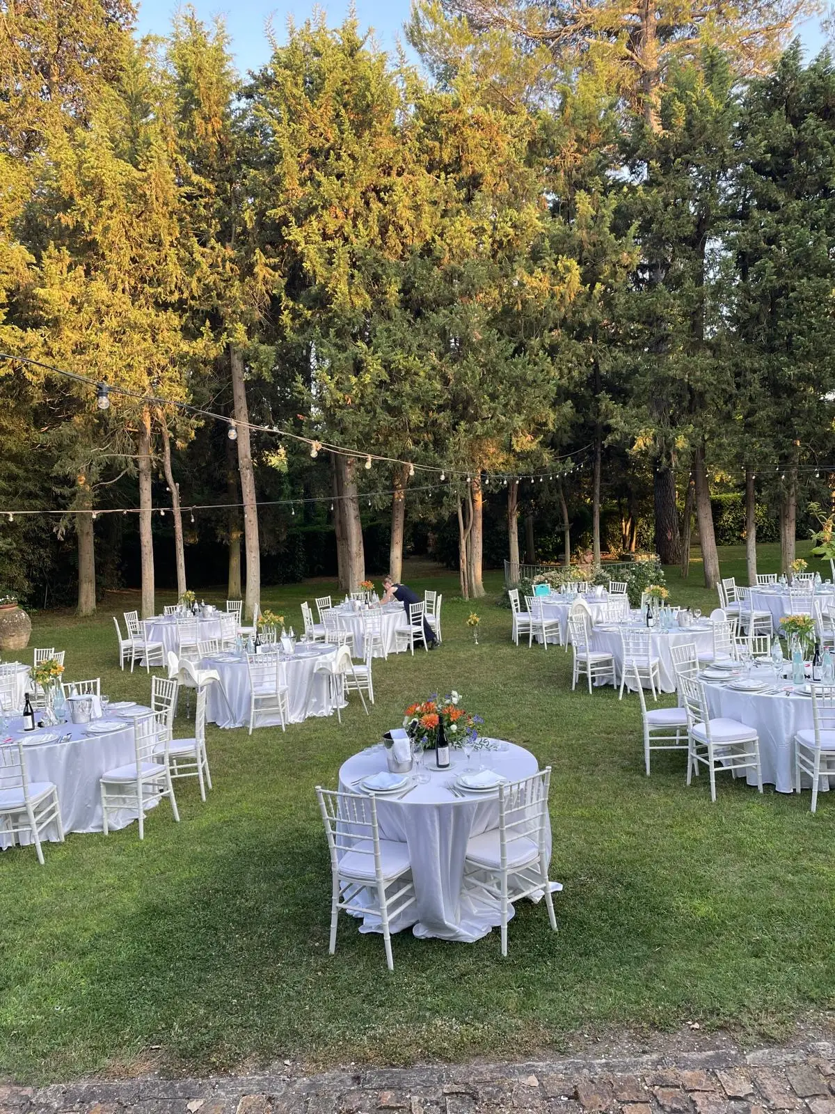 Cena nel parco con tavoli rotondi tra gli alberi e aria aperta